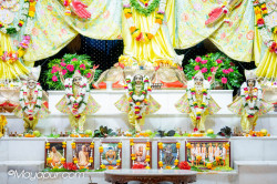 Daily Darshan