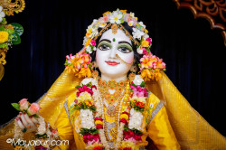 Daily Darshan