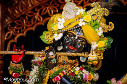 Daily Darshan