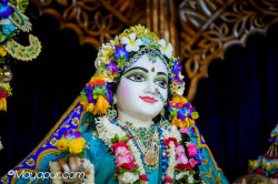 Daily Darshan