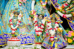 Daily Darshan