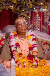 Daily Darshan