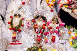 Daily Darshan