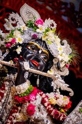 Daily Darshan