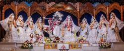 Daily Darshan