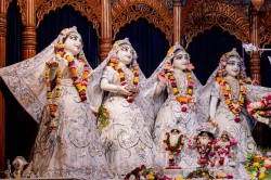 Daily Darshan