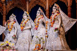 Daily Darshan