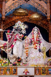 Daily Darshan
