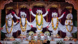 Daily Darshan