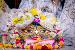 Daily Darshan