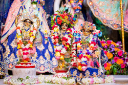 Daily Darshan