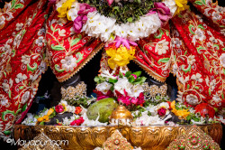 Daily Darshan