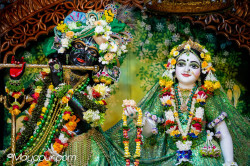 Daily Darshan