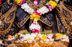 Daily Darshan