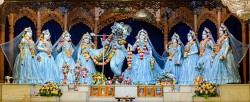 Daily Darshan