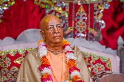 Daily Darshan