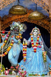 Daily Darshan