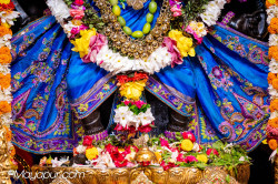 Daily Darshan