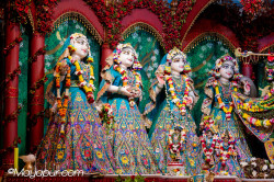 Daily Darshan