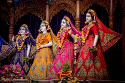 Daily Darshan