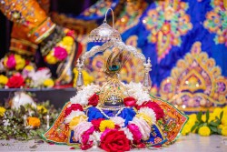 Daily Darshan