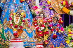 Daily Darshan