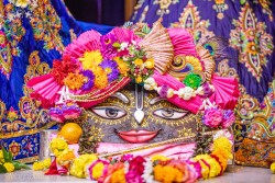 Daily Darshan
