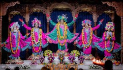 Daily Darshan