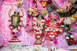 Daily Darshan
