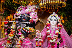 Daily Darshan