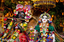 Daily Darshan