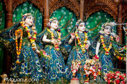 Daily Darshan