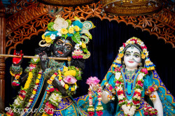 Daily Darshan