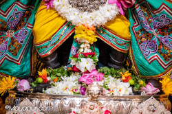 Daily Darshan