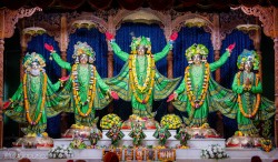 Daily Darshan