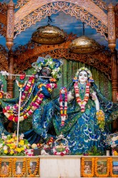 Daily Darshan