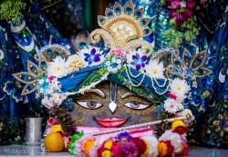 Daily Darshan
