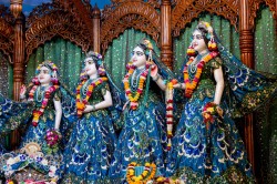 Daily Darshan