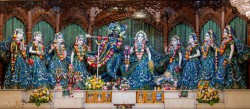 Daily Darshan
