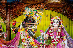 Daily Darshan