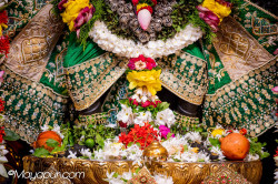 Daily Darshan