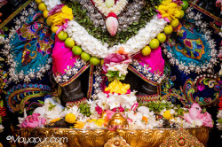 Daily Darshan