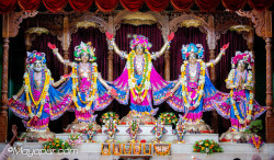 Daily Darshan