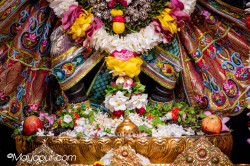 Daily Darshan
