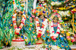 Daily Darshan