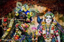 Daily Darshan