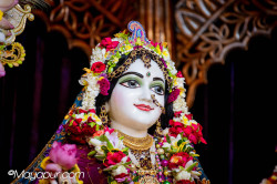 Daily Darshan