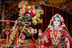 Daily Darshan