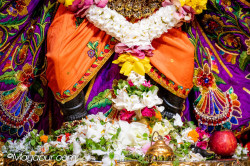 Daily Darshan