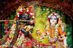 Daily Darshan